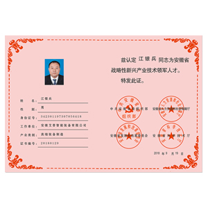 安徽省第七批戰(zhàn)略性新興行...